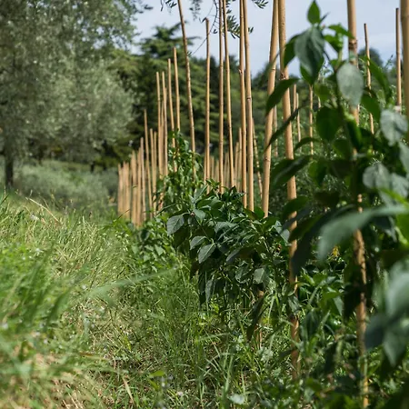Cà Toresele Relais Osteria Garden Vérone