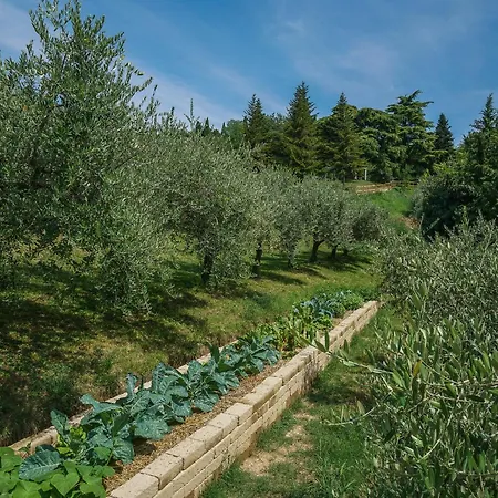 酒店 Ca Toresele Relais Osteria Garden 3*