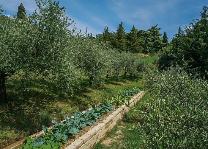 호텔 Ca Toresele Relais Osteria Garden 3*