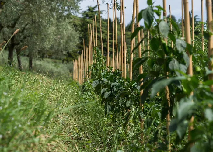 Ca Toresele Relais Osteria Garden 베로나